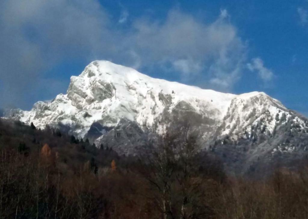 B&B Tisoi Belluno Eksteriør bilde